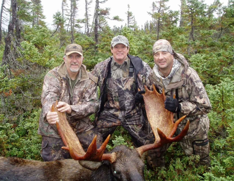 Newfoundland Moose Hunts,outfitter,hunting packages,A1 Hunts,NL